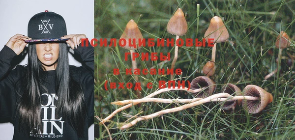 ешки Арсеньев