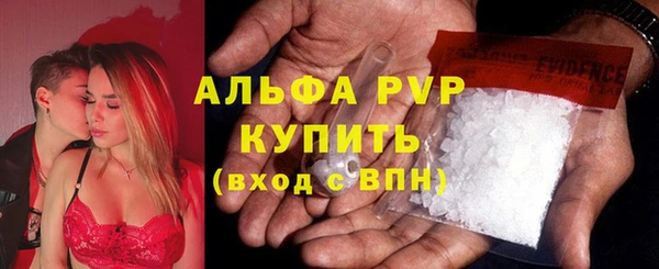 стаф Алексин