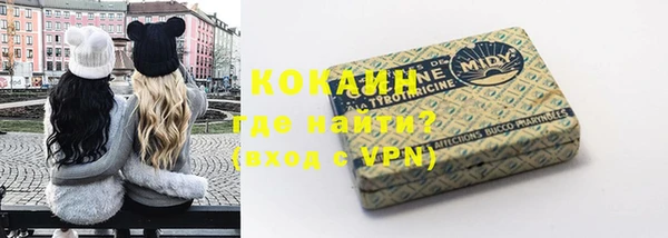 ешки Арсеньев