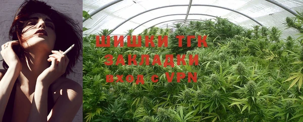 ешки Арсеньев