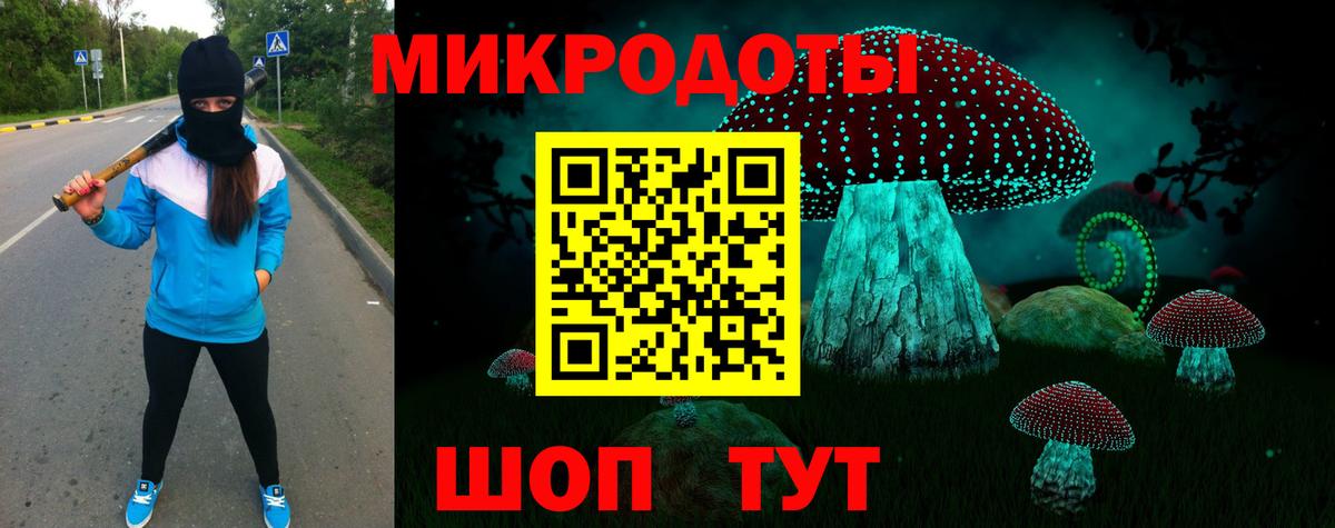 Кинель  Галлюциногенные грибы мухоморы  что такое наркотик  Вход с VPN  Псилоцибиновые грибы GOLDEN TEACHER 