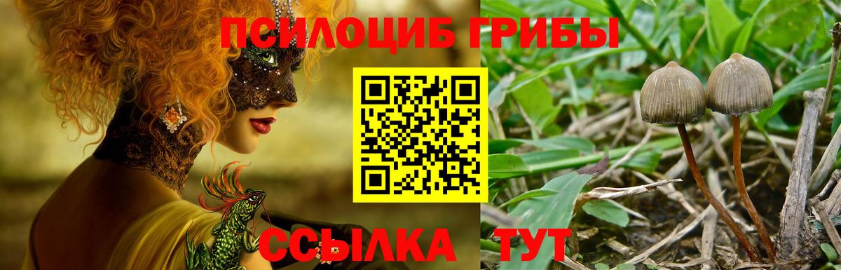 Псилоцибиновые грибы ЛСД Кинель